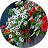 Аглая Калинина
